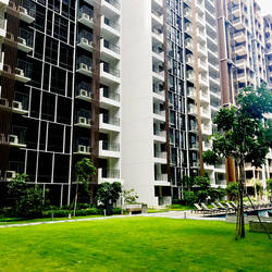 Sims Urban Oasis (D14), Condominium #158178472